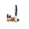 Deluxe Hand Blender 3 in 1 WF-9916